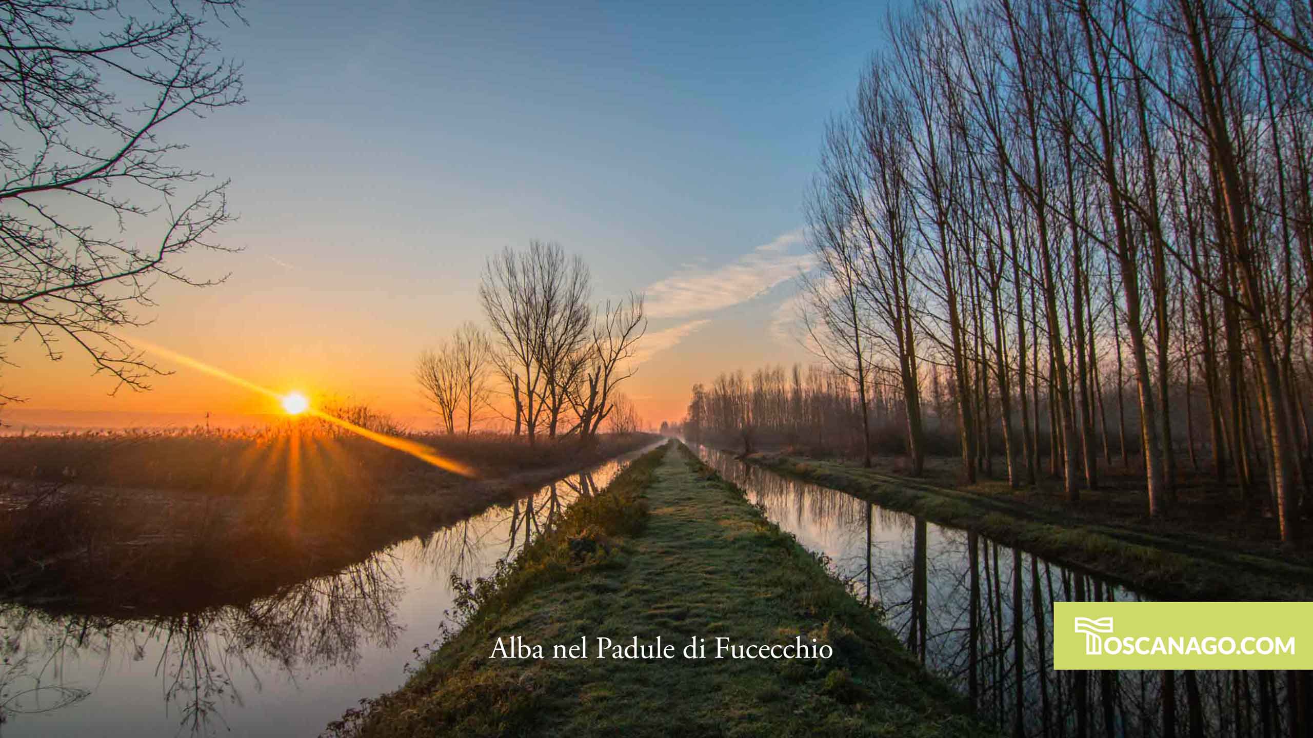 Visita il padule di Fucecchio